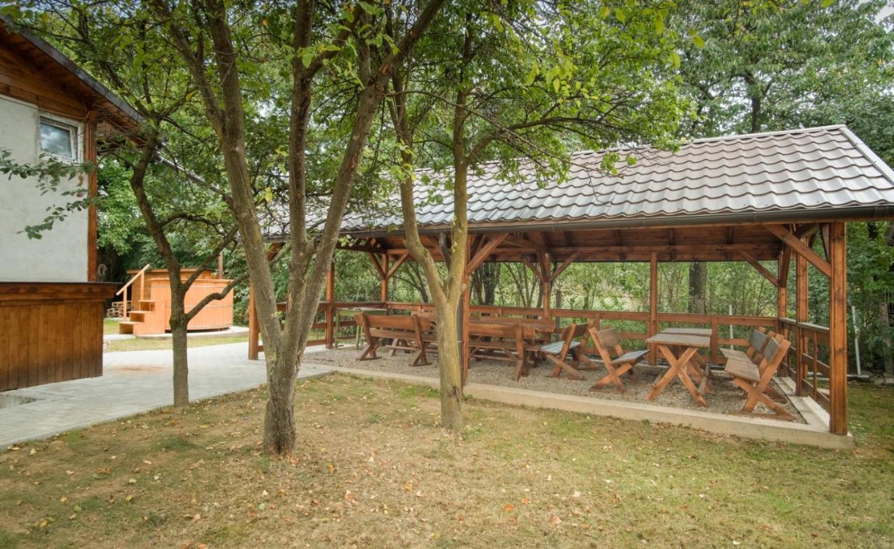 Pensiunea Selena Vişeu de Sus Dış mekan fotoğraf